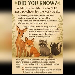 Support Wildlife Rescue!